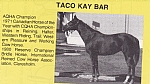 Taco Kay Bar